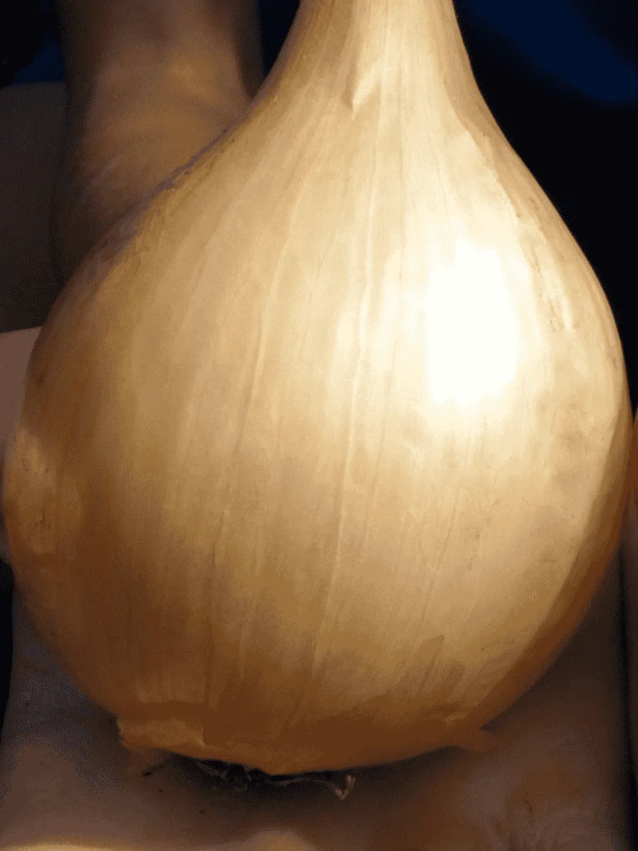 Лук-севок Шекспир