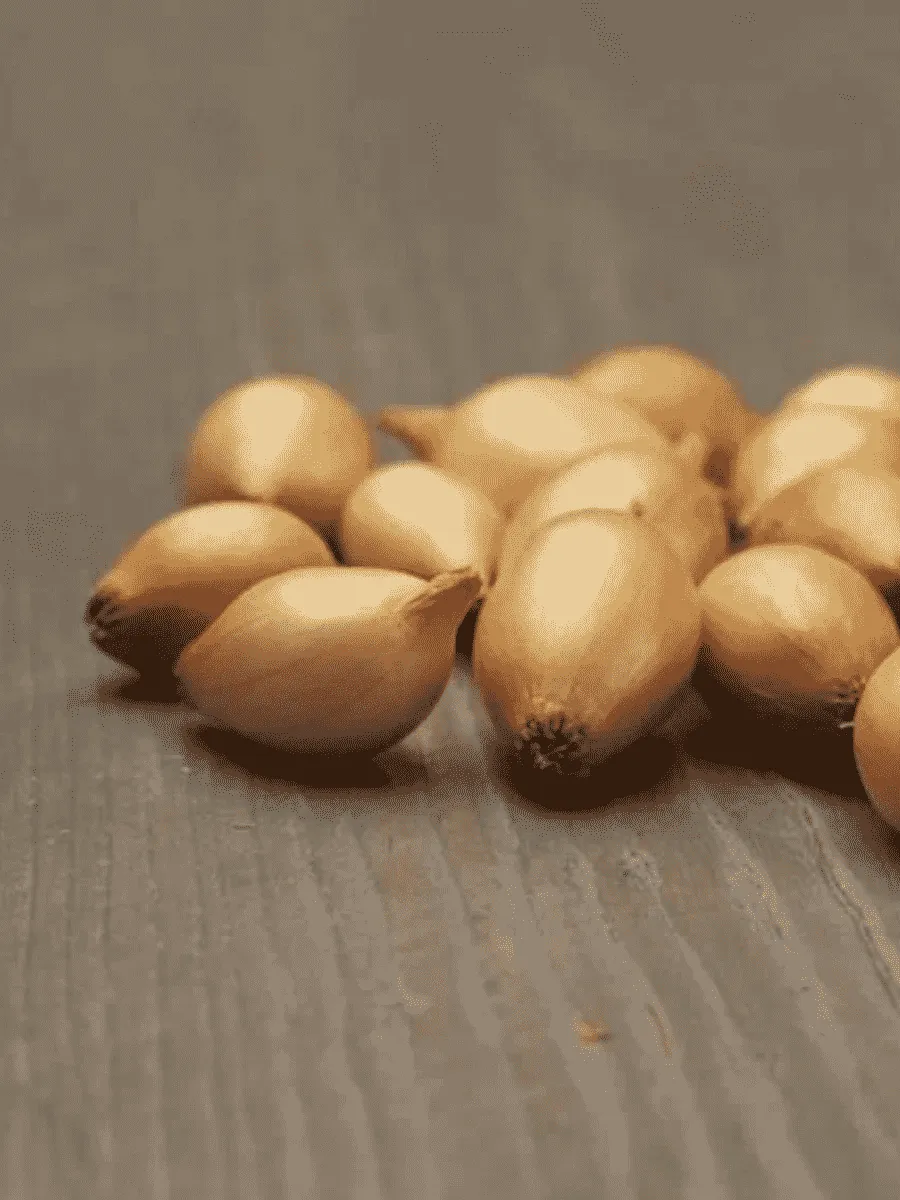 Лук-севок Стурон