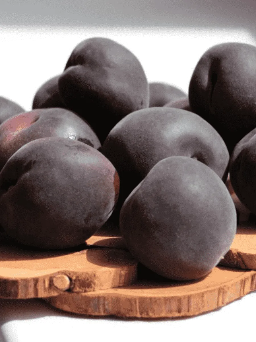 Абрикос Черный принц