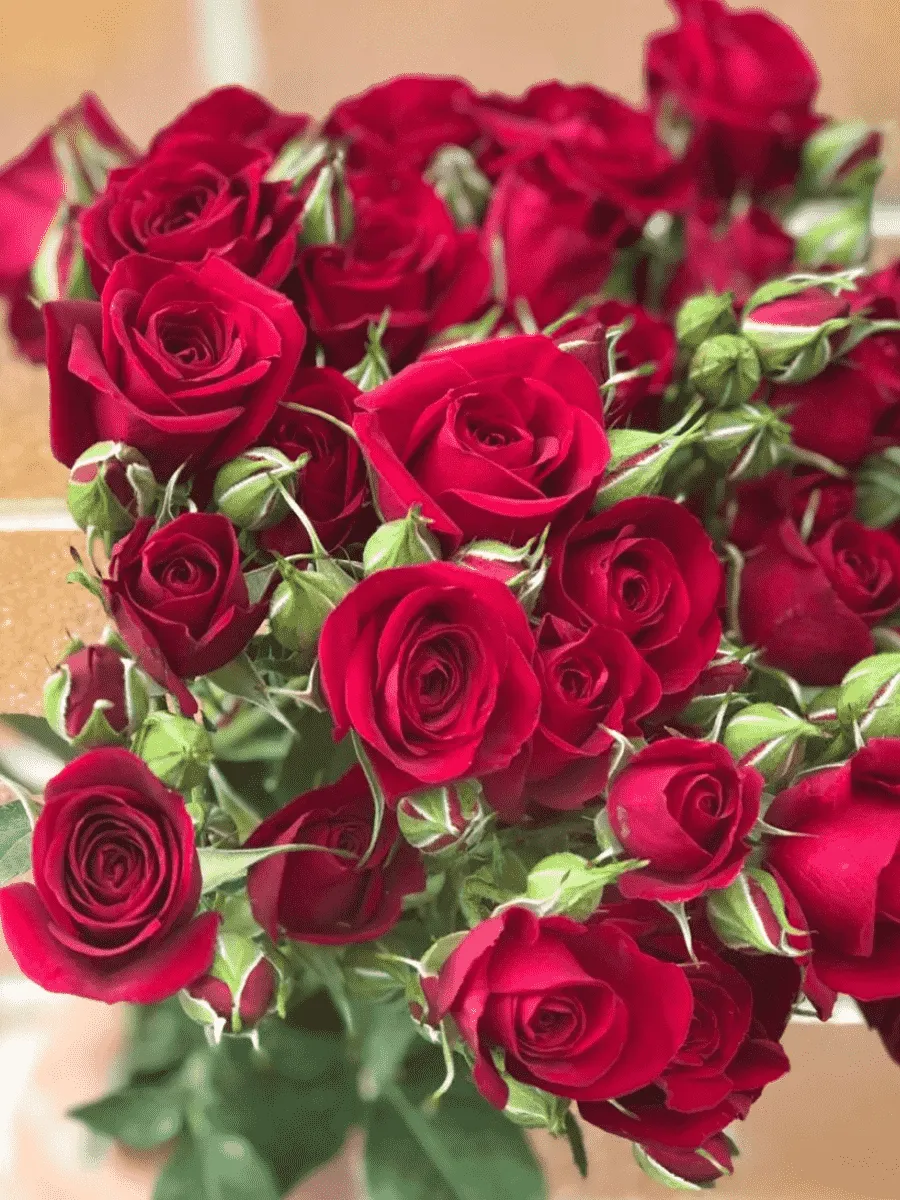 Роза спрей Rubicon